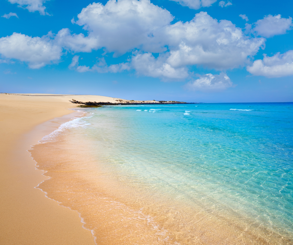 Coach2Go - Make Life Vantastic -  Fuerteventura Urlaub - Mindflow Basisseminar